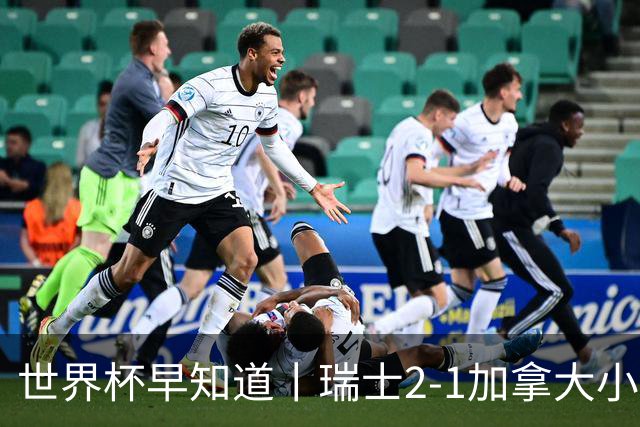 世界杯早知道丨瑞士2-1加拿大小组第一出线 波黑3-1卡塔尔