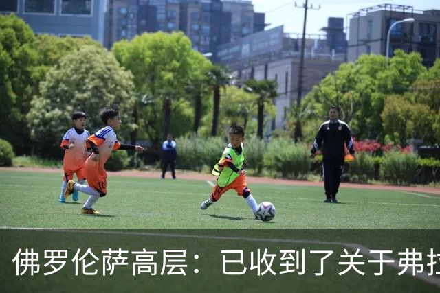 佛罗伦萨高层：已收到了关于弗拉霍维奇的报价