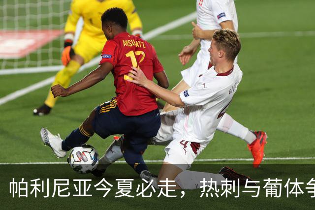帕利尼亚今夏必走，热刺与葡体争夺战一触即发！