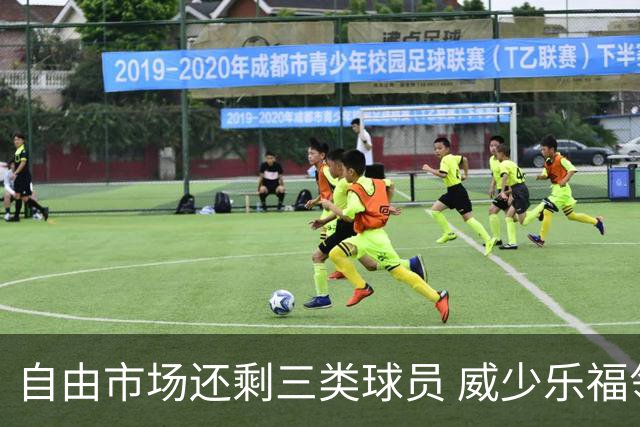 自由市场还剩三类球员 威少乐福领衔失业大军？